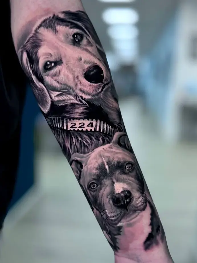 Realistisches Tattoo Dortmund | Bad Baboon Tattoo